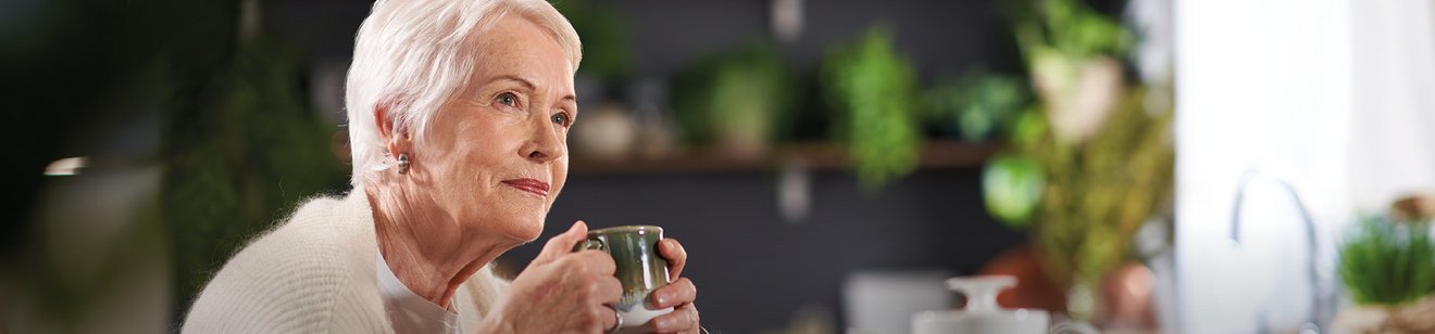 Mi proyecto paso a paso